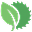 Promptsciously logo